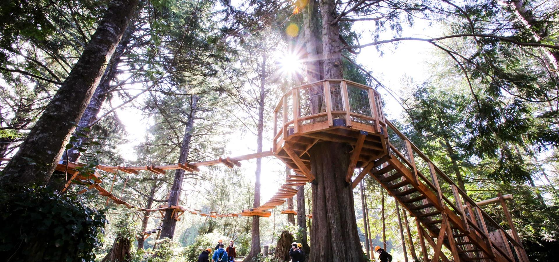 Salishan Aerial Park and Ropes Course